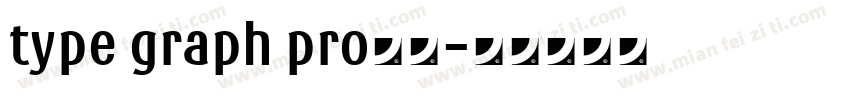 type graph pro字体字体转换